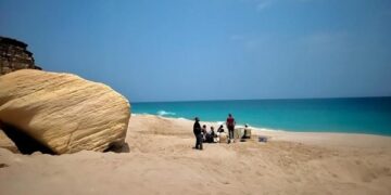 Second phase of Sea Turtles Satellite Tracking Project launched