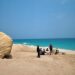 Second phase of Sea Turtles Satellite Tracking Project launched 8 Second phase of Sea Turtles Satellite Tracking Project launched