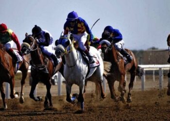 Al Rahba Racetrack to be venue of National Day Cup Race on Nov 12
