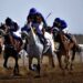 Al Rahba Racetrack to be venue of National Day Cup Race on Nov 12