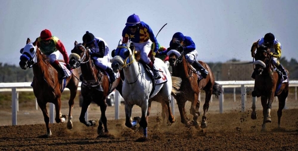 Al Rahba Racetrack to be venue of National Day Cup Race on Nov 12 1 Al Rahba Racetrack to be venue of National Day Cup Race on Nov 12