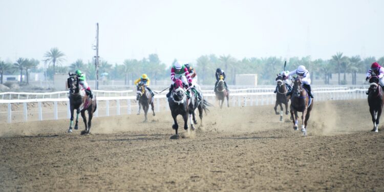 8 أشواط في سباق كأس العيد الوطني الثاني والخمسين للخيل