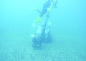 حملة لحماية الشعاب المرجانية بمحمية السلاحف