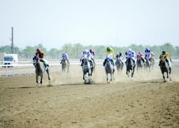 8 أشواط في سباق كأس العيد الوطني الثاني والخمسين بالرحبة.. غداً