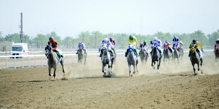 8 أشواط في سباق كأس العيد الوطني الثاني والخمسين بالرحبة.. غداً