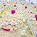Dhofar Poultry to be allotted new site in Thamrait 2 Dhofar Poultry to be allotted new site in Thamrait