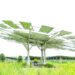 Solar power boom