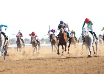 تنافس كبير في سباق كأس العيد الوطني الثاني والخمسين للخيل