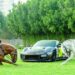 World's largest celebrity motor comes to Oman