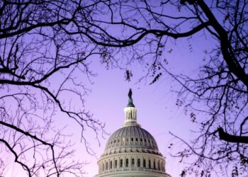US Democrats maintain Senate majority
