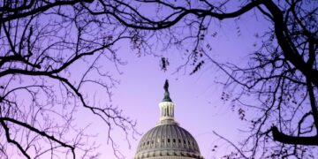 US Democrats maintain Senate majority