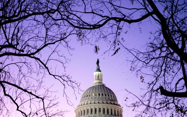 US Democrats maintain Senate majority