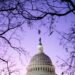US Democrats maintain Senate majority 8 US Democrats maintain Senate majority