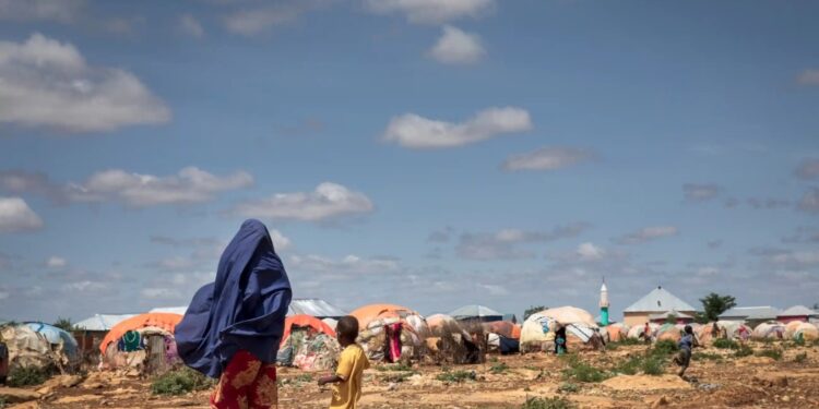 الكوارث المناخية تضع محنة النازحين في بؤرة اهتمام مؤتمر "كوب27" 1 الكوارث المناخية تضع محنة النازحين في بؤرة اهتمام مؤتمر “كوب27”