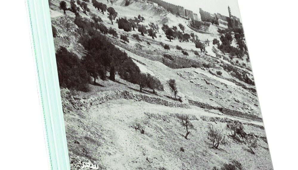الشاعر الفلسطيني “نجوان درويش” يفوز بجائزة سارة ماغواير البريطانية