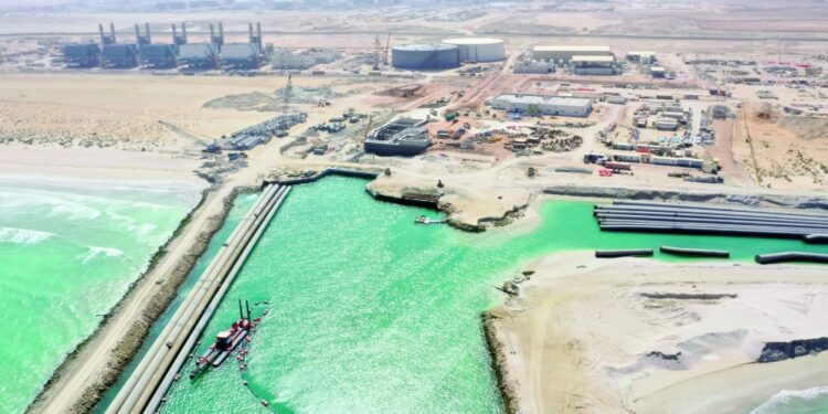 رجال أعمال: انتخاب مجلس إدارة قوي للغرفة يدفع عجلة التنمية الاقتصادية
