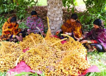 Oman improves food security ratings