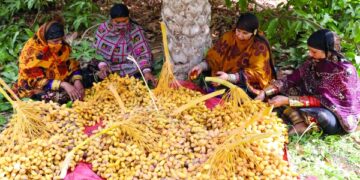 Oman improves food security ratings