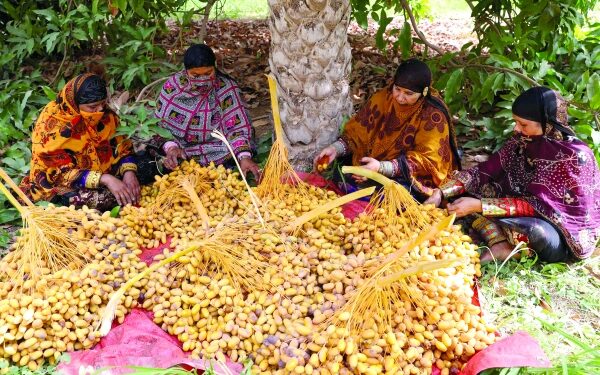 Oman improves food security ratings