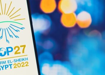 COP27 deal delivers landmark on 'loss and damage', but little else