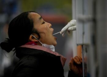 China COVID cases steady as many Beijing businesses, schools shut