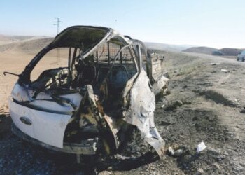 31 killed in Turkish strikes in north Syria
