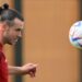 Bale hopes to inspire next Wales generation