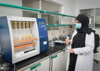 انضمام 18 ألف مواطن إلى القطاع الخاص في الأشهر العشرة الأولى من العام
