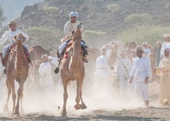 Al Ardah: The art of dealing with camels and horses