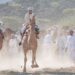 Al Ardah: The art of dealing with camels and horses