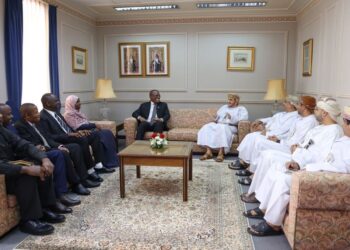 وكيل وزارة الخارجية للشؤون الدبلوماسية يلتقي بمسؤول تنزاني