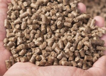 Govt to subsidise animal feed production