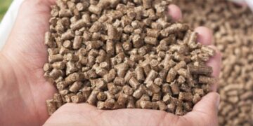 Govt to subsidise animal feed production