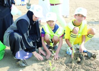 Saplings of 1,300 mangrove trees planted in Khor Shinas