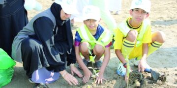 Saplings of 1,300 mangrove trees planted in Khor Shinas
