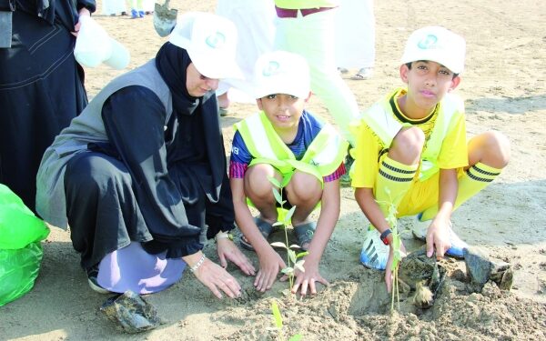 Saplings of 1,300 mangrove trees planted in Khor Shinas 1 Saplings of 1,300 mangrove trees planted in Khor Shinas
