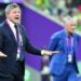 مدرب صربيا يبرر مستوى فريقه الباهت أمام البرازيل 8 مدرب صربيا يبرر مستوى فريقه الباهت أمام البرازيل