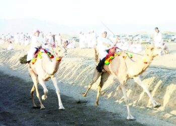 بدء فعاليات الموسم الشتوي بولاية بدية