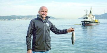 'Where are the mackerel?' Alarm as Bosphorus fish stocks crash