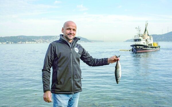 'Where are the mackerel?' Alarm as Bosphorus fish stocks crash 1 'Where are the mackerel?' Alarm as Bosphorus fish stocks crash