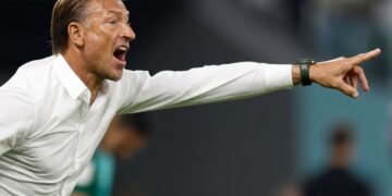 We are still alive, says Saudi coach Renard