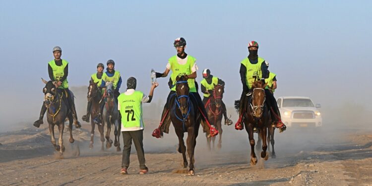 البلوشي يتوج بسباق العيد الوطني للقدرة والتحمل