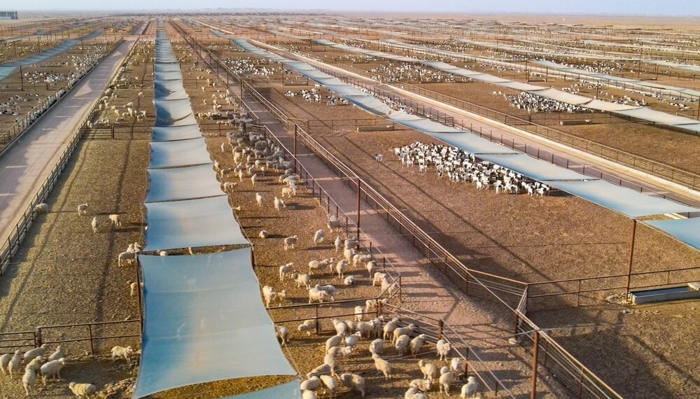 محافظة ظفار والتنوع في الأمن الغذائي ضمن رؤية عُمان 2040