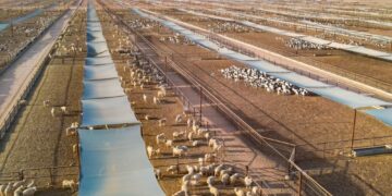 محافظة ظفار والتنوع في الأمن الغذائي ضمن رؤية عُمان 2040