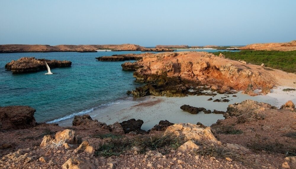 محمية جزر الديمانيات.. وجهة سياحية ذات تنوع أحيائي 1 محمية جزر الديمانيات.. وجهة سياحية ذات تنوع أحيائي