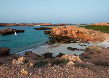 محمية جزر الديمانيات.. وجهة سياحية ذات تنوع أحيائي