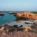 محمية جزر الديمانيات.. وجهة سياحية ذات تنوع أحيائي
