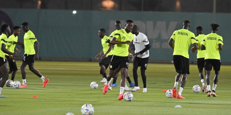 أمل الأدوار الإقصائية يراود السنغال والإكوادور في كأس العالم 1 أمل الأدوار الإقصائية يراود السنغال والإكوادور في كأس العالم