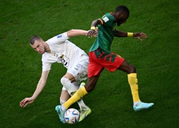 Cameroon fights back to draw World Cup
