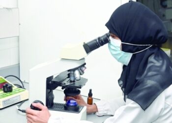Plans to attract investments in health sector